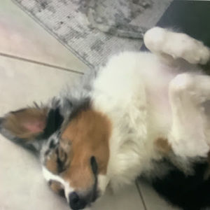 Meet your Posher, Catherine